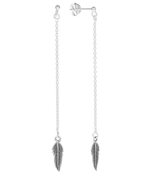 PLUMA